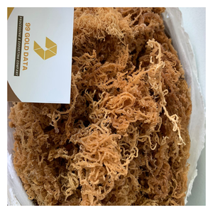 Algues cottonii séchées du Vietnam-séchées au soleil, propres, peu humides, idéales pour la production d'agar et de gelée - Product Image 6