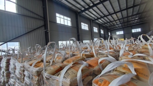 Vật liệu vữa tay áo cho các tòa nhà đúc sẵn-tầng hầm xây dựng hiện đại xi măng cường độ cao - Product Image 5