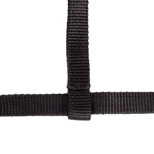 Licou de cheval pour poulains poulains pouliches réglable Mini licou de cheval rembourrage doux boucles métalliques solides chevaux poulain licou noir - Product Image 6