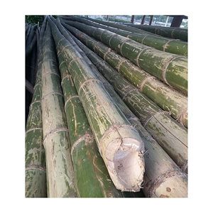 Supply 100% <b>Natural</b> Bamboo Pole <b>Tubes</b>/ Raw Bamboo Material From Vietnam/ in Stock Bamboo Pole <b>Tube</b> in Large Quantity - Product Image 2