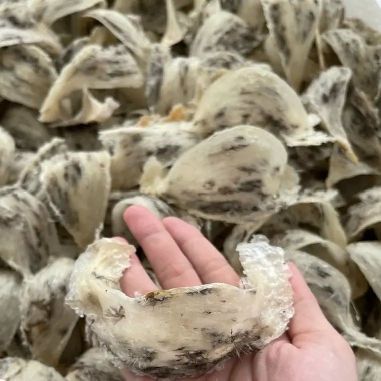 ベストプライス健康回復と改善タイプBベトナムヘルスケア製品小さな海綿状の生の鳥の巣