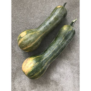 <span class=keywords><strong>Graines</strong></span> de courge <span class=keywords><strong>Butternut</strong></span> Cucurbita Moschata 5G Saveur délicate Fournitures de jardinage - Product Image 2
