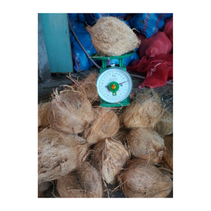 Noix de coco mûre à viande dense-Noix de coco mature pour la fabrication alimentaire-Parfait pour le stockage à long terme et l'utilisation en cuisine - Product Image 5