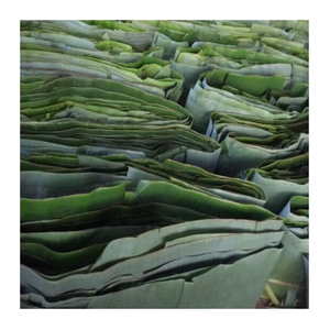 Hojas de plátano congeladas para compradores internacionales-Hojas de envoltura natural de hoja de plátano fresco 100% Calidad de exportación Suministro al por mayor - Product Image 4