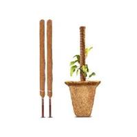 Bâtons de coco naturels écologiques pour l'agriculture, en tourbe de coco, taille personnalisable pour le jardinage