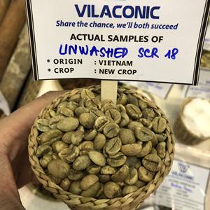 Pantalla Robusta de alta calidad sin lavar/limpia/pulida en húmedo 18 16 Descuento verde Granos de café de Vietnam Anna Do W/A + 84982153058 - Product Image 4