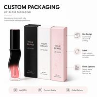 Tube de brillant à lèvres incurvé en S de luxe à marque privée, logo personnalisé, dégradé noir ombré, vente en gros, fournisseur de maquillage, faible MOQ