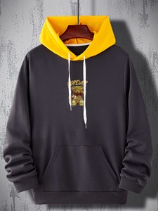 Vente en gros 100% sweat-shirt à capuche surdimensionné en molleton de coton pour hommes sweat-shirt Streetwear lourd de couleur unie - Product Image 2