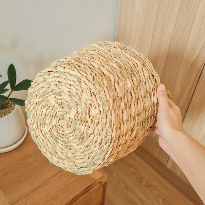 สีธรรมชาติ