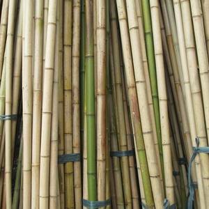 MATÉRIAU DE BAMBOU NATUREL DE HAUTE QUALITÉ POUR LA DÉCORATION ET LA FABRICATION DE MEUBLES TENDANCE CHAUDE 2023 - Product Image 4