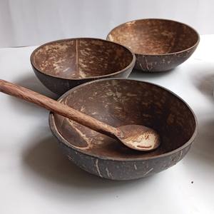 ชุดชามและช้อนมะพร้าวทำด้วยมือธรรมชาติเป็นมิตรต่อสิ่งแวดล้อม - Product Image 6