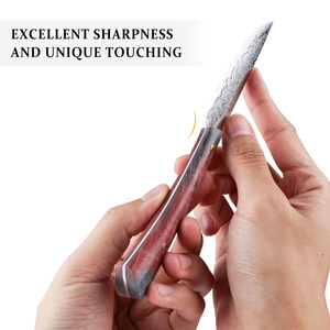 Wholesale Customized High Quality OEM <b>Knife</b> Damascus Kitchen <b>Knife</b> Steel Steak Slicer <b>Utility</b> Paring ODM Kitchen Chef's <b>Knives</b> - Product Image 4