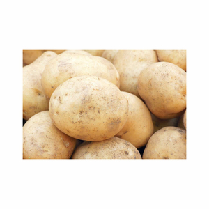 Fresh Vegetables Fresh <strong>Potato</strong> Price Per Ton High Quality Organic Fresh <strong>Potatoes</strong> For Sales At Best Price