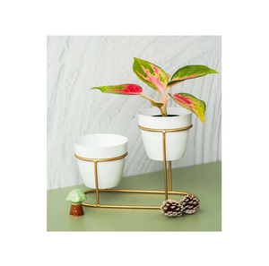 Mini jardinière succulente avec support en métal or naturel brillant poli décoration de jardin pot de fleur articles de décoration pour la maison - Product Image 2