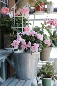 Vaso Moderno in Latta Pioneera, Secchio per Fiori in Ferro, Decorazione per Casa e Giardino, Vaso in Metallo Zincato Ecologico con Motivo Verticale - Product Image 6