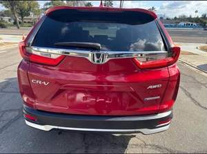 Bien cuidado, limpio, 2023 Hond-A, a, a, - Product Image 6