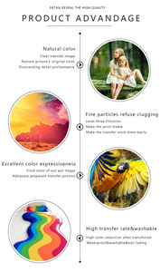 หมึกระเหิด1000มล. สำหรับ Epson epn Ricoh สีย้อม1L สำหรับสิ่งทอแหล่งเดิมโรงงานผู้ผลิต - Product Image 6