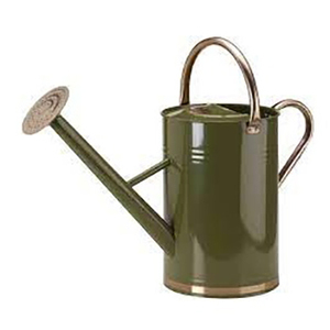 Diseño clásico Acabado de latón Regadera de metal Plantas de exterior e interior Regadera - Product Image 6