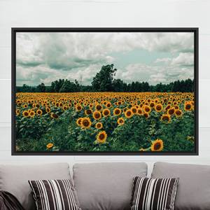 Impression sur toile de paysage de champ de tournesols, grande œuvre d'art encadrée or pour cuisine, 1P : encadrement noir - Product Image 1
