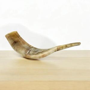 Polished Natural <b>Sheep</b> Ram Shofar Horn-Eco-Friendly Religious Home Decor High Quality - Product Image 2