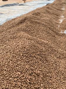 เม็ดชานอ้อย / ชานอ้อยหมัก / ชานอ้อยจากขยะทางการเกษตร - Product Image 3