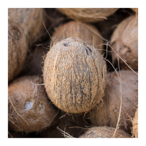 Noix de coco mûre fraîche naturelle cultivée au Vietnam offrant un goût et une nutrition supérieurs assurant la satisfaction des acheteurs mondiaux - Product Image 5