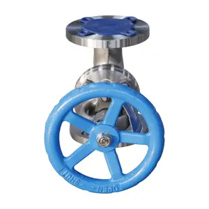 DN15-DN1000 Steam Globe Valve Cryogenic Globe Valve High Pressure Stainless Steel Globe Valve