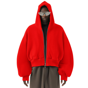 Sudadera con capucha fabricante personalizado 500gsm peso pesado 100% algodón de gran tamaño con cremallera Sudadera con capucha recortada lisa de doble capa - Product Image 1