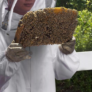 Traje de apicultura de alta calidad, traje de algodón, ropa ventilada, cómodo traje de seguridad para Apicultura en Qasaab Gloves Company - Product Image 6