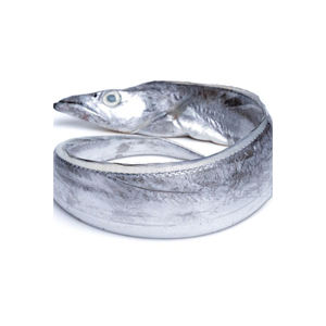 Pescado bandera fresco al por mayor, pescado bandera congelado, marisco de alta calidad, suministro a granel, captura marina, calidad sashimi, listo para exportar - Product Image 4