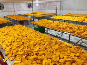 Vente en gros ANNA DO tranche de mangue séchée transformée AD de haute qualité fruits confits naturels goût doux et sucré emballage en vrac - Product Image 4