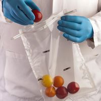 Sac mélangeur stérile tout usage avec filtre et système de fermeture, étanche et hermétique, sécurité alimentaire, fournitures de laboratoire_EFT SERIE