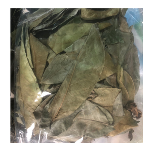 กราวิโอลาแห้งทุเรียนเทศใบไม้สำหรับถุงชา - Product Image 3