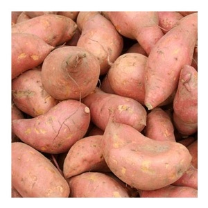 Meilleure Qualité, Prix Promotionnel, Légumes Frais, Patates Douces - Product Image 1