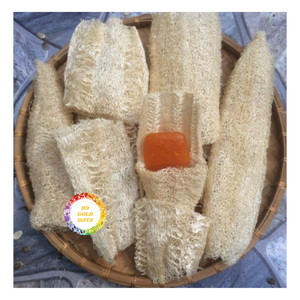 VIETNAM NATURAL LOOFAH ECO FRIENDLY MATERIAL SUPPLIER PREMIUM QUALITY PRODUCT GOOD PRICE FOR EXPORT MARKET - Product Image 1