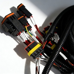 Harnais de câblage automobile personnalisé, étanche, avec connecteur Tyco <span class=keywords><strong>2</strong></span> broches JST, faisceau de câbles, assemblage de faisceau de câbles, câblage électrique automobile - Product Image 2