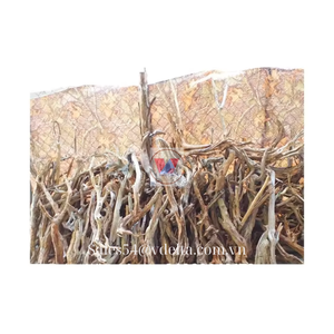 MADERA DE CORAL NATURAL TIPO DIVERSO DE VIET NAM A PRECIO ASEQUIBLE - Product Image 1