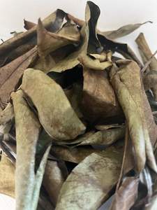 Feuilles de corossol séchées d'origine vietnamienne, qualité supérieure / meilleur prix d'exportation et usage à des fins médicinales - Product Image 6