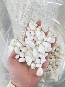 Piedra natural de origen vietnamita, Guijarro caído blanco nieve para decoración de villas - Product Image 6