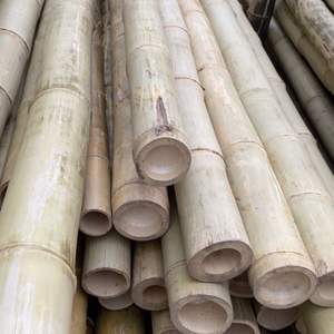 Postes de bambú de tamaño personalizado | Secado carbonizado tratado | Material de construcción estructural | Fábrica de Vietnam - Product Image 5