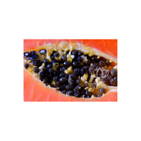 2026 SALE Aziatische Blauwe Lotus 100% Biologische Gedroogde Papajazaadjes Tropisch Fruit Huis & Tuin 24 Maanden Houdbaarheid Kruidenthee