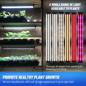 120LM/W 36W Strip LED growing lights per piante indoor samsung lm301h led grow light