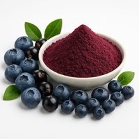 Bubuk Ekstrak Blueberry, Blackcurrant, dan Bilberry