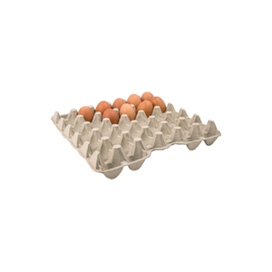 Precio competitivo Pulpa moldeada Biodegradable Egg Box Eco-Recycle 30-Cell Egg Tray Fabricante de Vietnam Precio competitivo - Product Image 6
