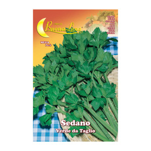 Semi Orto Sedano Verde da Taglio - Product Image 1