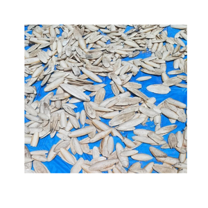 Os de seiche séché propre en gros pour perroquets reptiles et petits animaux Support de calcium - Product Image 1