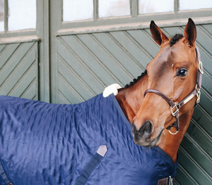 เชือกแขวนคอนักแข่งม้าหนังแท้คุณภาพพรีเมี่ยม - Product Image 6