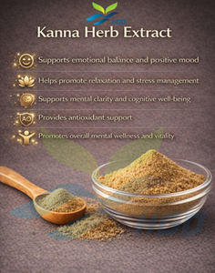 HGO Factory Direct Supply of Pure Natural Kanna Herb <b>Extract</b> (Sceletium tortuosum) Food Grade 5:1 10:1 20:1 Ratio <b>Extract</b> - Product Image 3