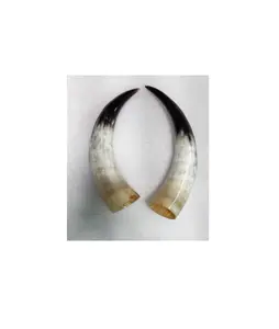 Par de bocina de tamaño medio, claxon personalizado con logo pulido en blanco y negro, color natural para claxon decorativo - Product Image 1