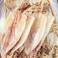 Calmar séché de haute qualité disponible fruits de mer naturels de qualité supérieure pour les restaurants et les distributeurs fabriqués au Vietnam 2025